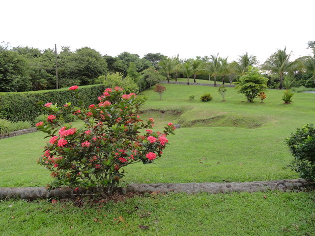 Frontgarden