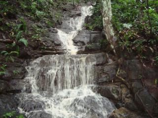 raining season waterfall on property
