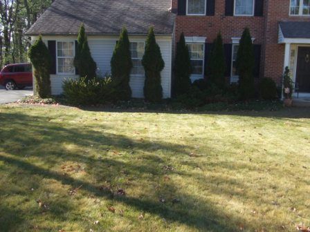 Front lawn