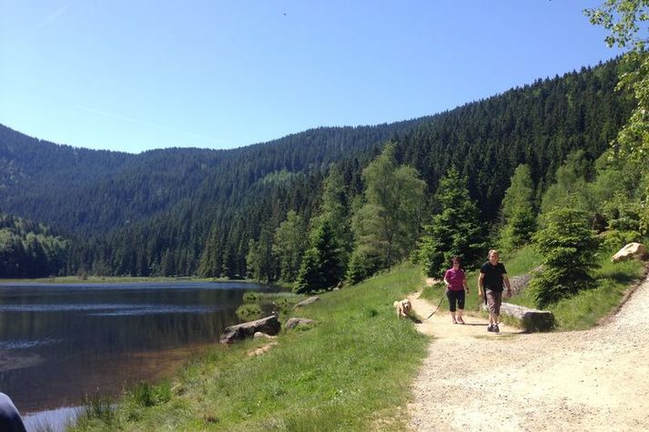 AreaSummer20KM
