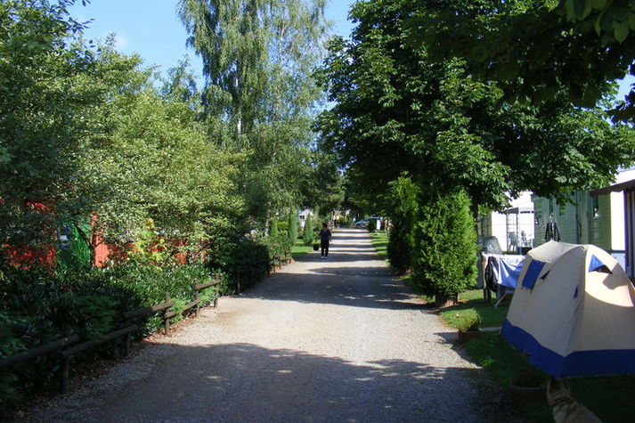AreaSummer1KM