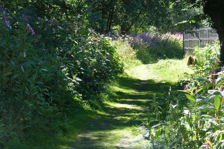 AreaSummer1KM