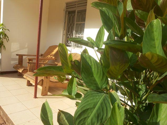 the veranda nice to sit and enjoy the morning and evenings