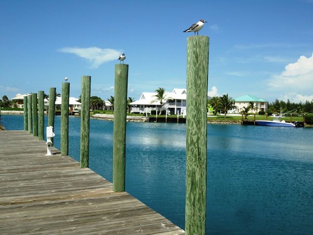 Pink Estate dock
Pink Estate dock