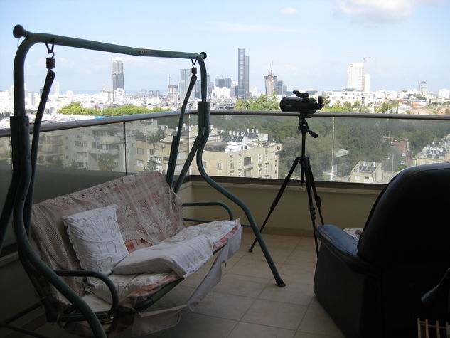 The Balcony