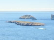 Iles proche des calanques