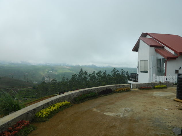 Path 