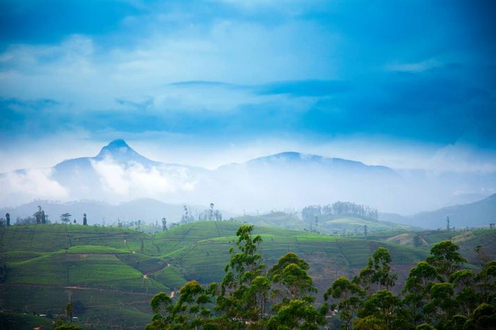 Adams Peak