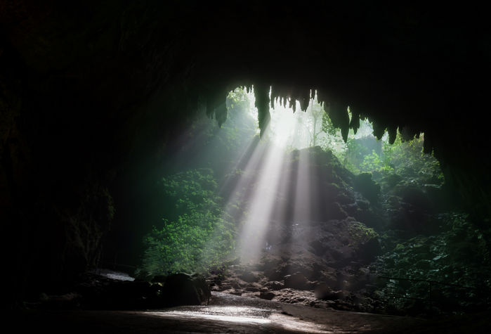 Cuevas de Camuy
Cuevas de Camuy