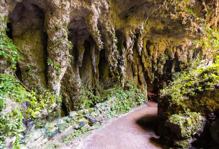 Cuevas de Camuy
Cuevas de Camuy
