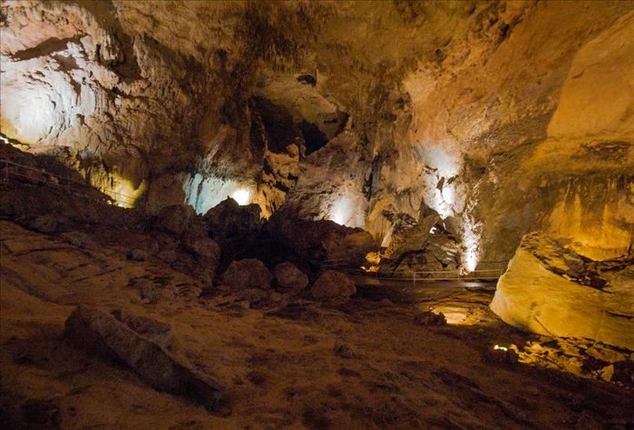 Cuevas de Camuy
Cuevas de Camuy
