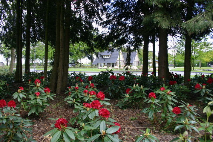 ParkFacilities