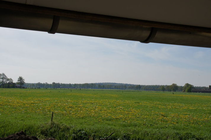 AreaSummer1KM