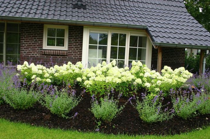 GardenSummer