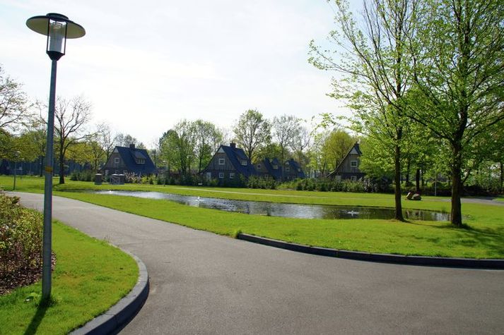AreaSummer1KM