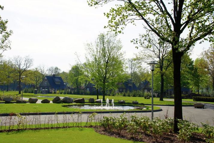 AreaSummer1KM