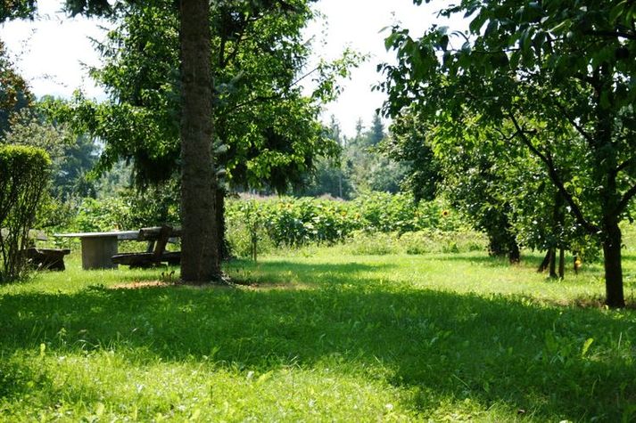 GardenSummer