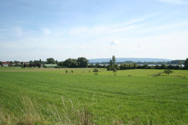 AreaSummer20KM