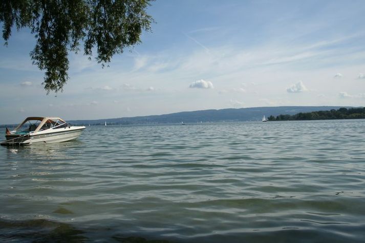 AreaSummer20KM