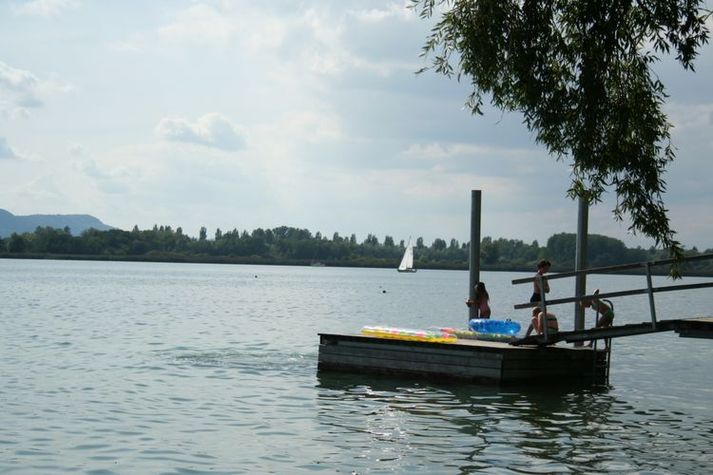 AreaSummer20KM