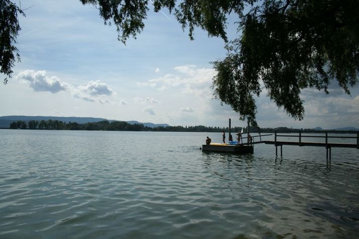 AreaSummer20KM