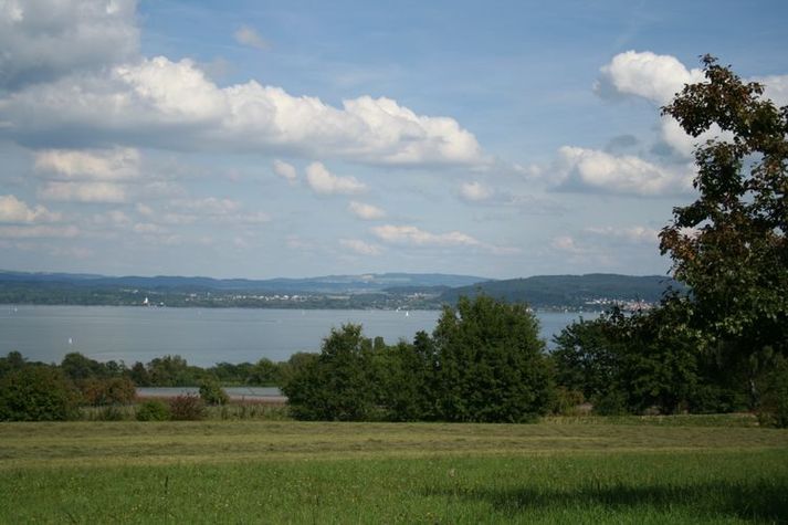 AreaSummer20KM