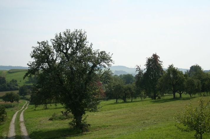 AreaSummer20KM