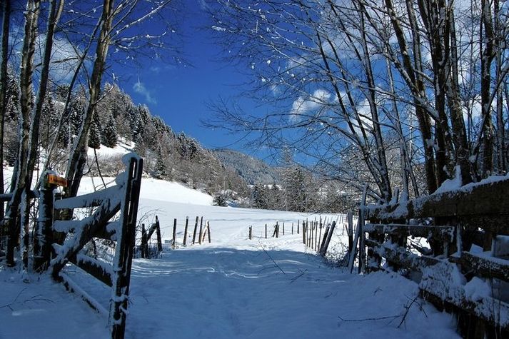 AreaWinter1KM