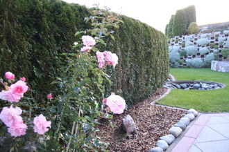 GardenSummer