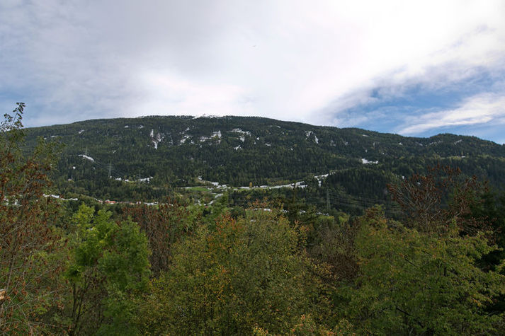 ViewSummer