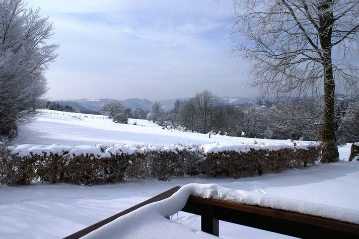 GardenWinter