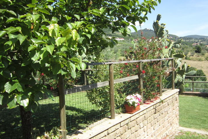 GardenSummer
