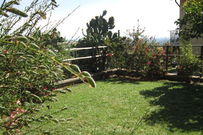 GardenSummer