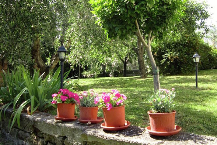 GardenSummer