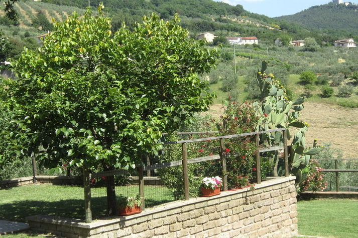 GardenSummer