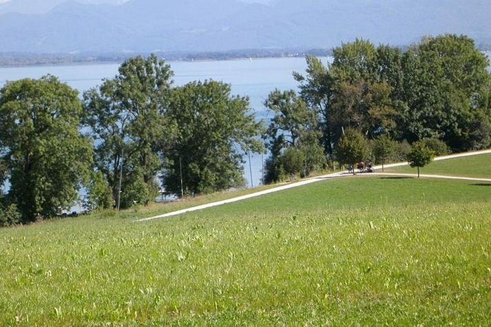 AreaSummer20KM