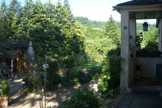 GardenSummer