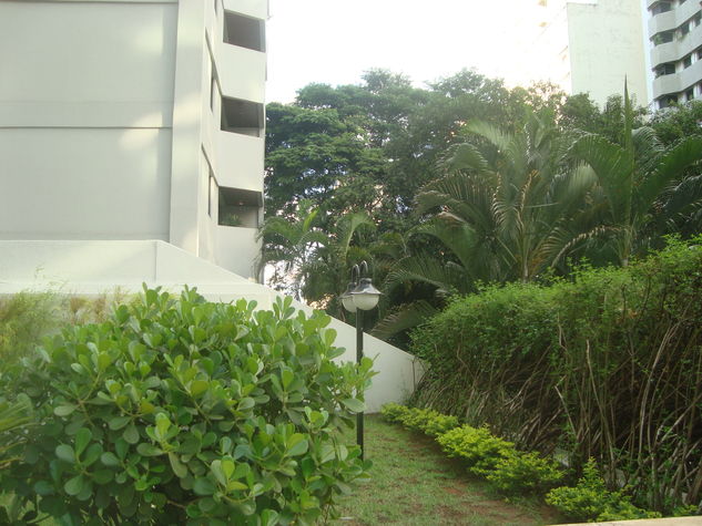 vision from outside