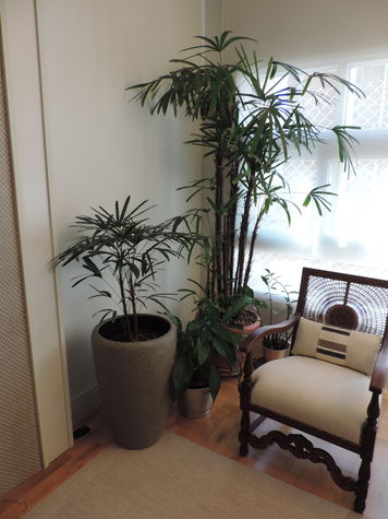 Living room green area with plants