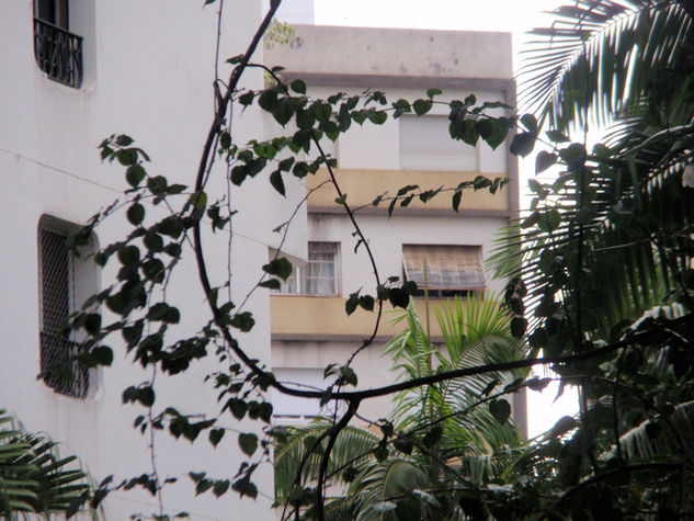 Vista da fachada de trás. (Back of the building).
