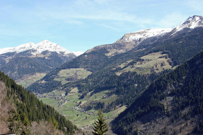 ViewSummer