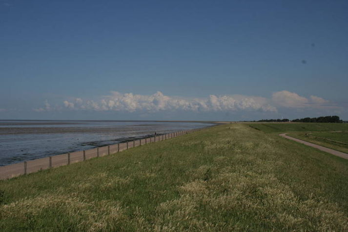 AreaSummer1KM