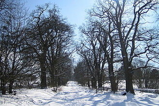 AreaWinter5KM