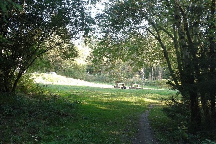 AreaSummer1KM