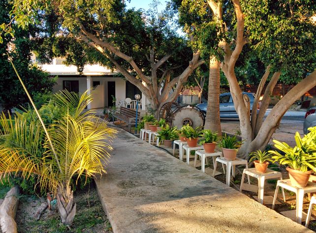 Lovely garden setting
