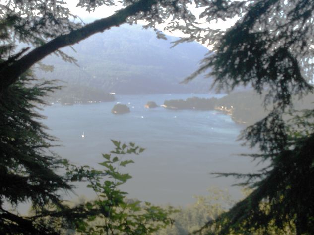 The view from Burnaby Mountain hiking trails in the neighborhood