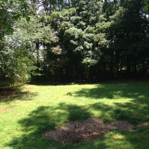 huge backyard