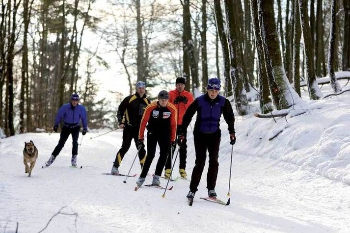 AreaWinter1KM