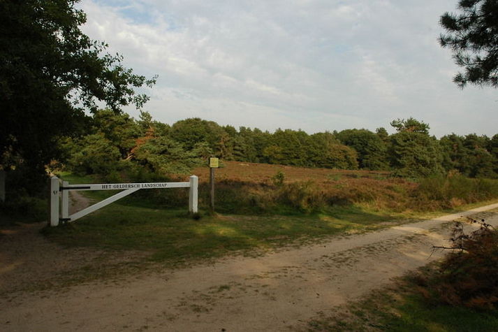 AreaSummer20KM