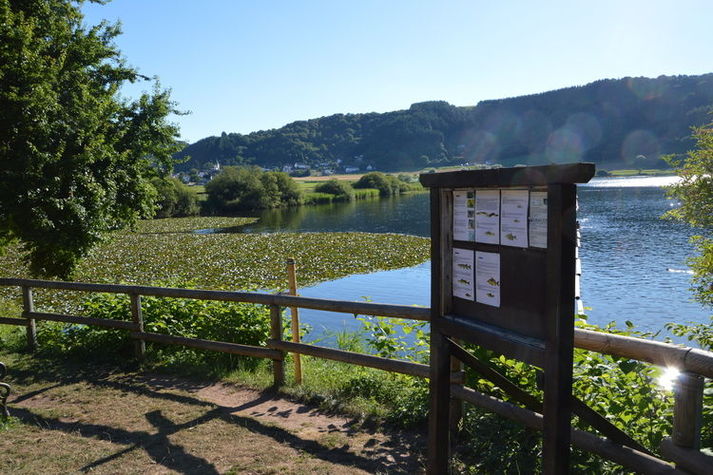 AreaSummer20KM